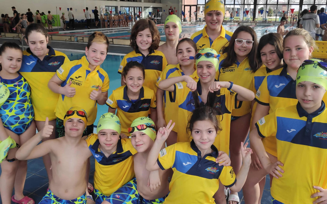 Federación Riojana Natación