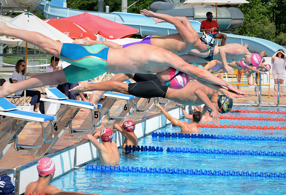 Federación Riojana Natación